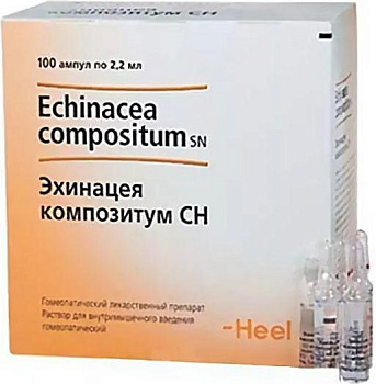 Эхинацея