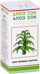 Фото Алоэ