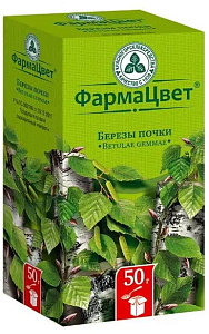 Фото Березы почки