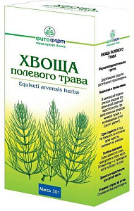 Фото Хвощ полевой