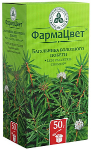 Фото Багульника болотного побеги