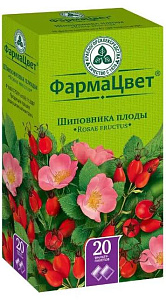 Фото Шиповника плоды