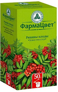 Фото Рябины плоды