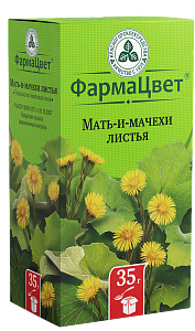 Фото Мать-и-мачеха