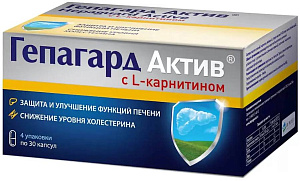 Фото Гепагард Актив