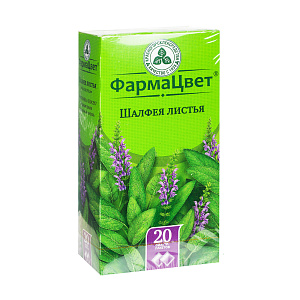 Фото Шалфей