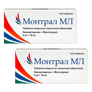 Фото Монтрал МЛ