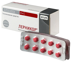 Фото Лерникор