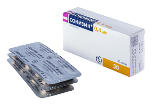 Фото Сонизин