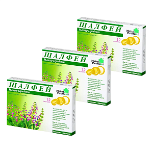 Фото Шалфей