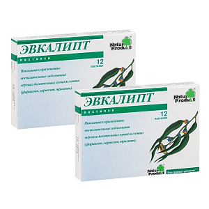 Фото Эвкалипт