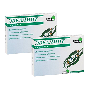 Фото Эвкалипт