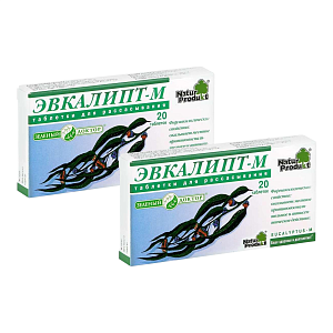 Фото Эвкалипт