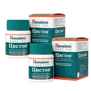 Фото Цистон