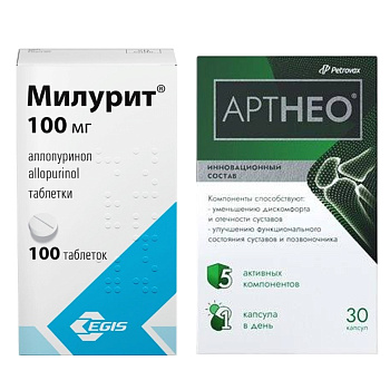 Набор Милурит табл 100мг 100шт и Артнео капсулы 30шт 