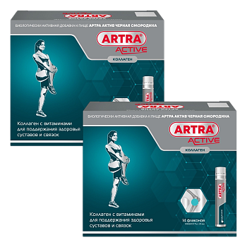 Набор 2уп Артра Актив Черная смородина жидкость 25мл 14шт