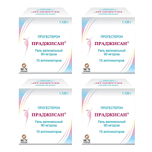 Фото Праджисан