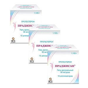 Фото Праджисан